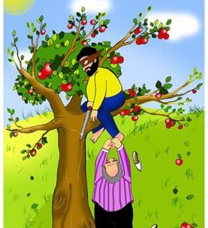 عکس میوه نشسته