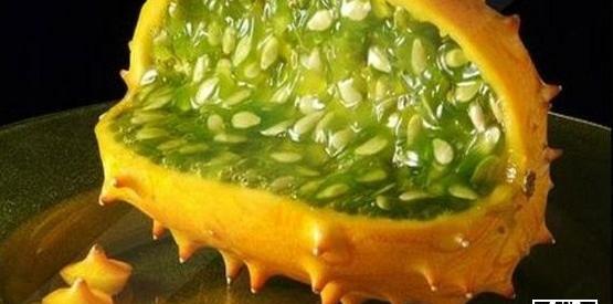 عکس میوه نشسته