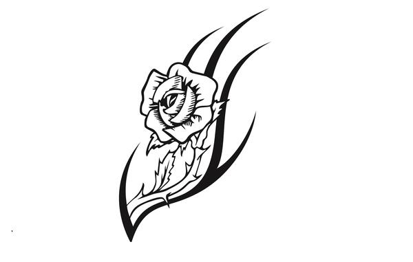 عکس دانلود وکتور طرح گل