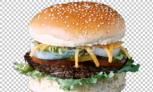 عکس لایه باز همبرگر