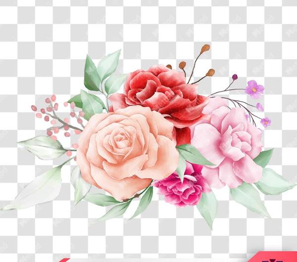 عکس png لایه باز