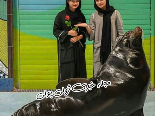 عکس اینستاگرام سارا و نیکا فرقانی