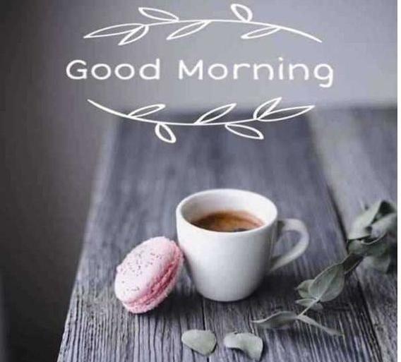 عکس استوری صبح بخیر