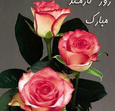 عکس همسرم روز کارمند مبارک