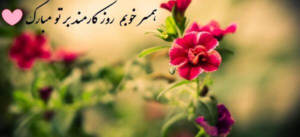 عکس همسرم روز کارمند مبارک