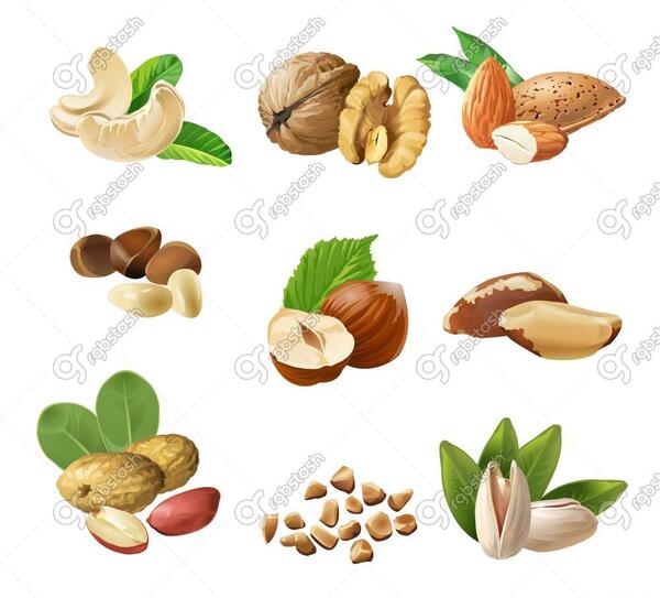 عکس وکتور آجیل