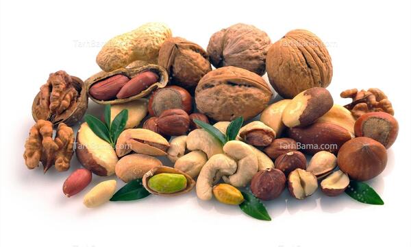 عکس وکتور آجیل