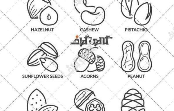 عکس وکتور آجیل