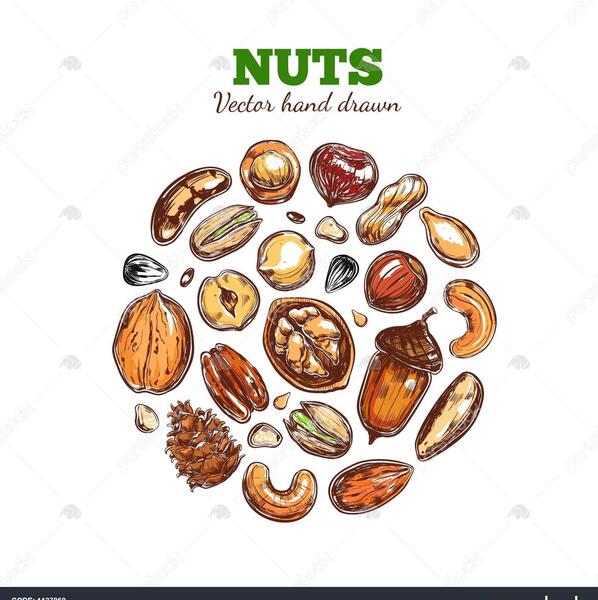 عکس وکتور آجیل