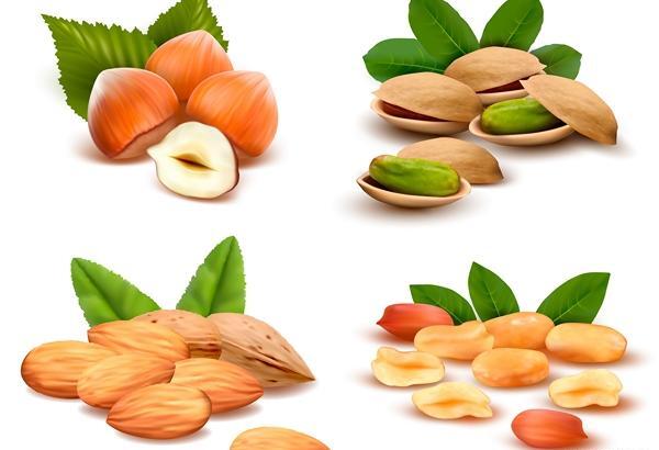 عکس وکتور آجیل