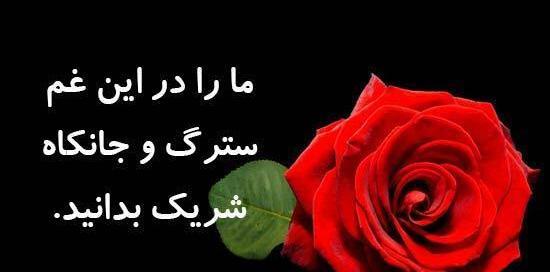 عکس پروفایل شریک غم دوست