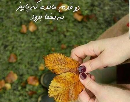 عکس پاییزی دخترانه با متن