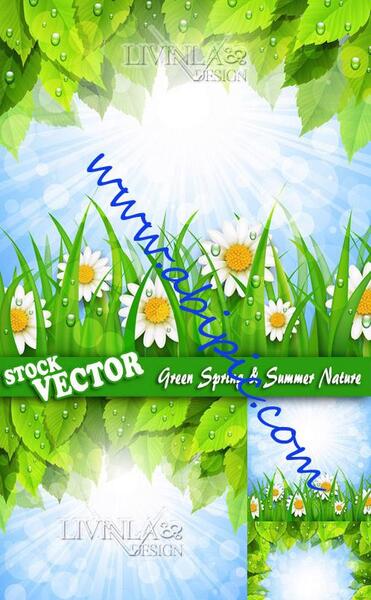 عکس وکتور تابستان