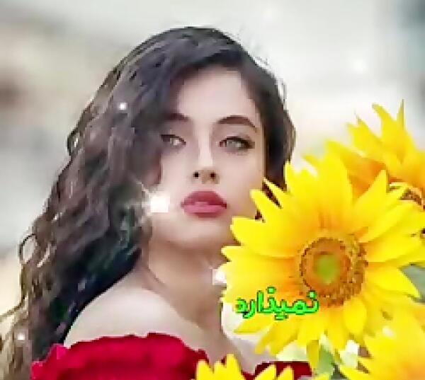 عکس وضعیت واتساپ 30 ثانیه