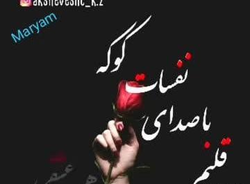 عکس وضعیت واتساپ 30 ثانیه