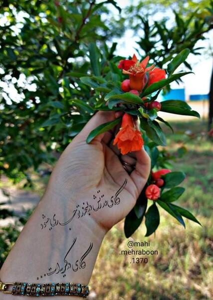 عکس گل در دست دونفره