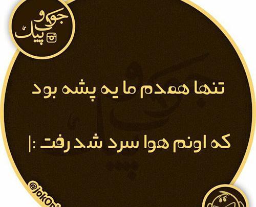عکس پشه خنده دار