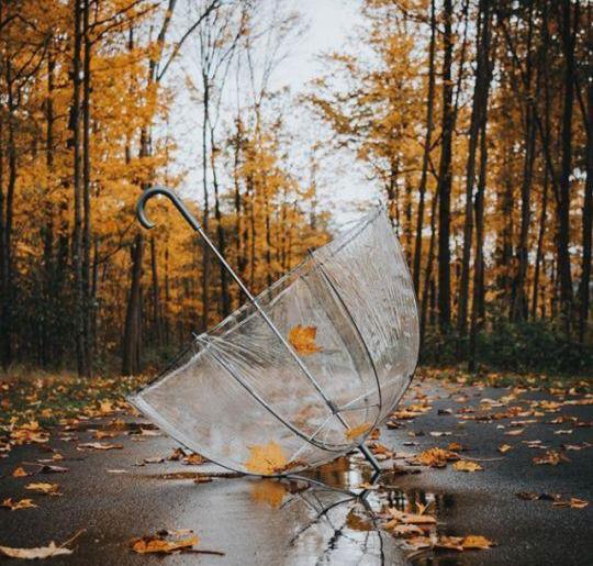 عکس پروفایل پاییز عاشقانه