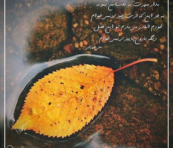 عکس نوشته پاییز و عشق