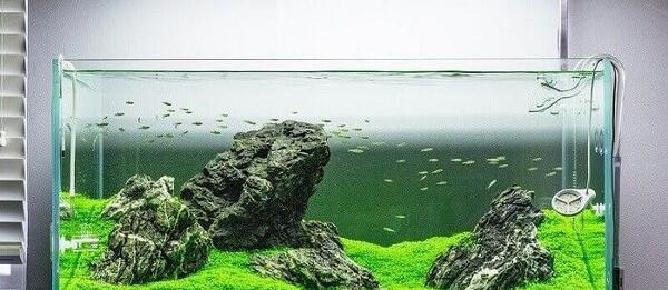 عکس آکواریوم خالی