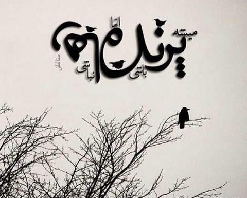 عکس پروفایل این روزا تنها حسم بی حسیه
