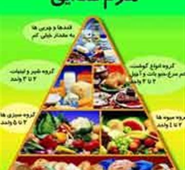 عکس هرم غذایی کاروفناوری هفتم