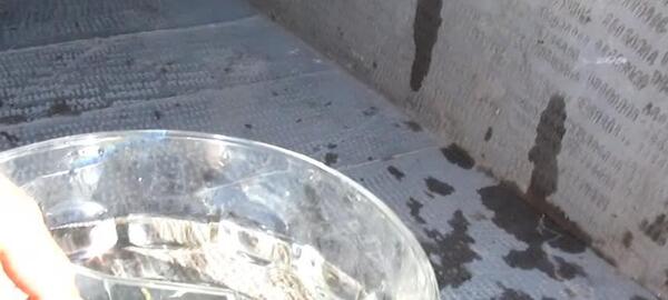 عکس آزمایش رنگین کمان