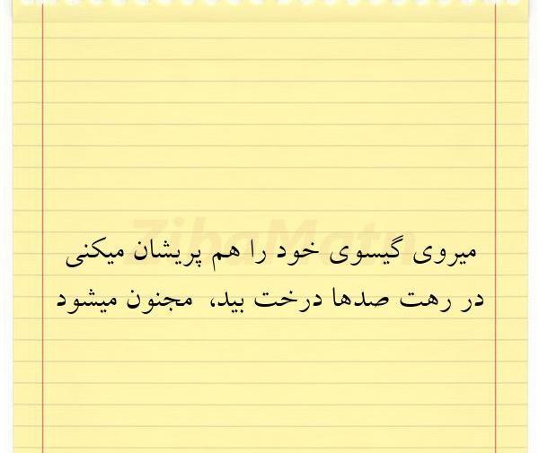 عکس درخت بید مجنون برای پروفایل