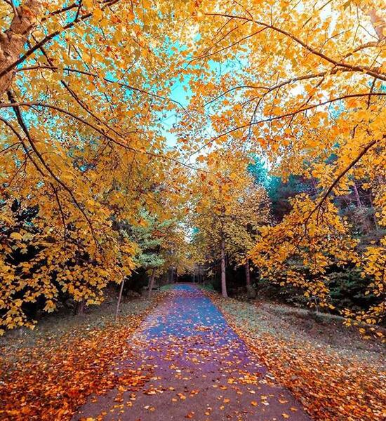 عکسهای زیبای پاییزی پروفایل