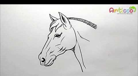 عکس نقاشی صورت اسب
