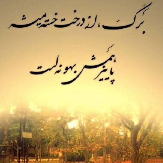 عکس نوشته پاییز داره تموم میشه