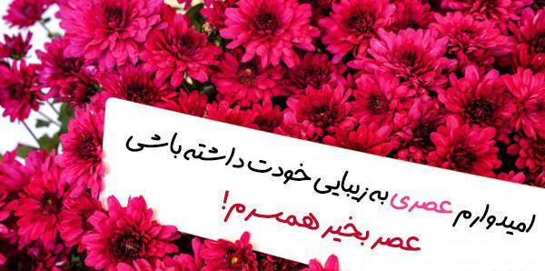 عکس پیام ظهر بخیر