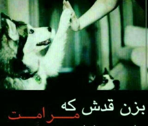 عکس نوشته لوتی بامرام