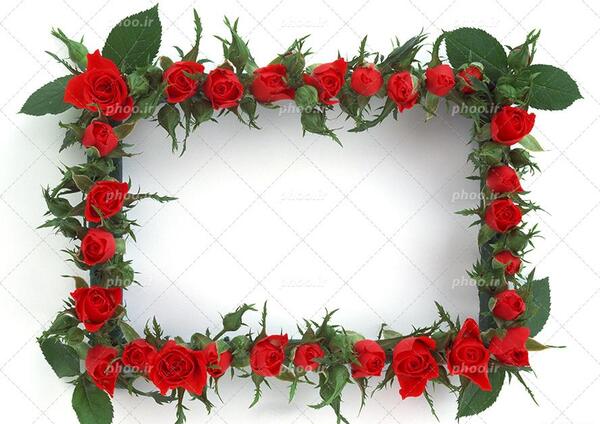 قاب عکس گلدار خالی