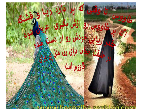 عکس چادرم تاج بهشتیست که برسردارم
