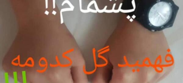 عکس بازی گل یا پوچ