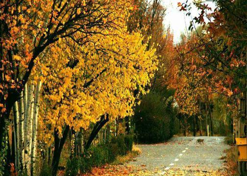 عکس پاییزی لرستان