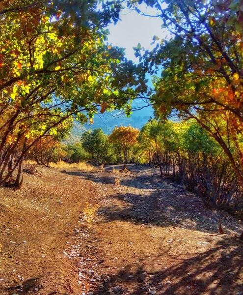 عکس پاییزی لرستان