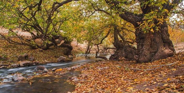 عکس پاییزی لرستان
