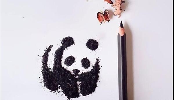 عکس نقاشی ها