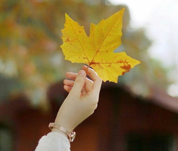 عکس پاییز کرونایی