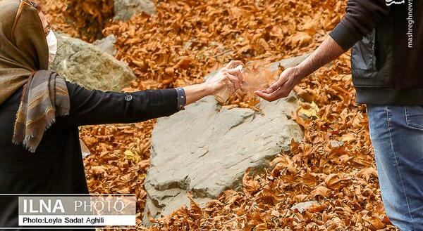 عکس پاییز کرونایی