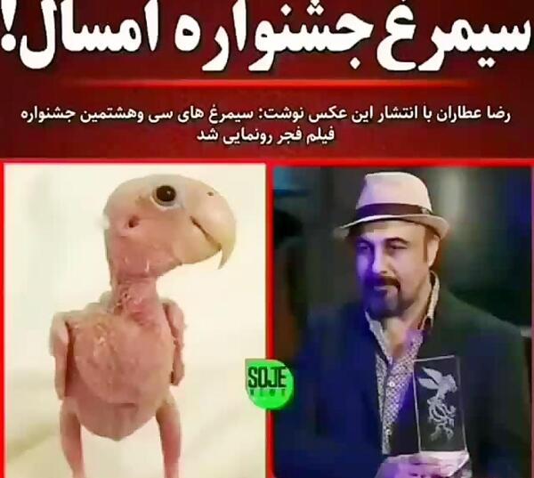 عکس سیمرغ رضا عطاران