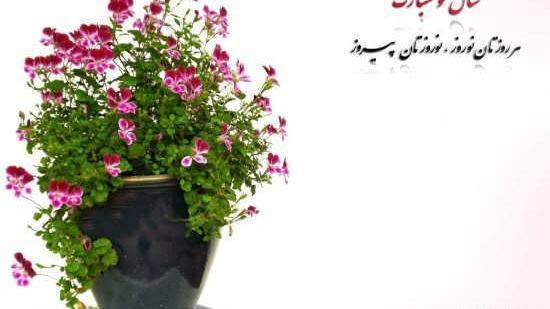 عکس خام نوروز