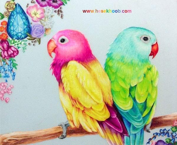 عکس نقاشی فانتزی طوطی