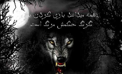 عکس پروفایل خفن لاتی