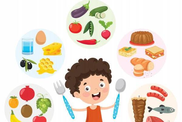 عکس دانلود وکتور غذا