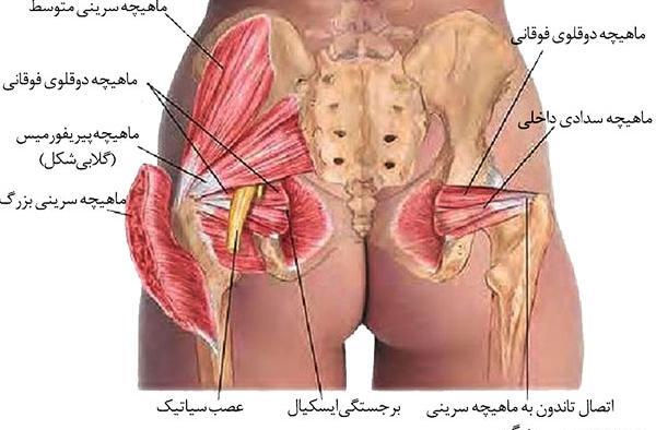 عکس خالی شدن کمر