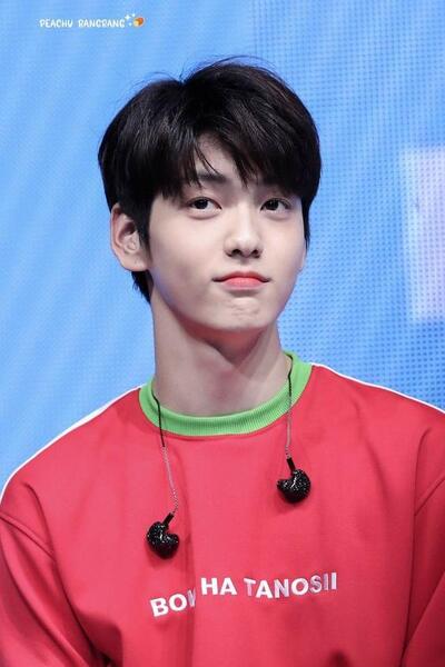 عکس گروه تی اکس تی