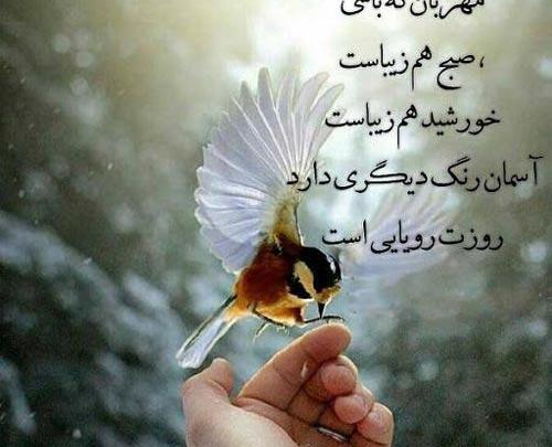 عکس درباره مهربانی